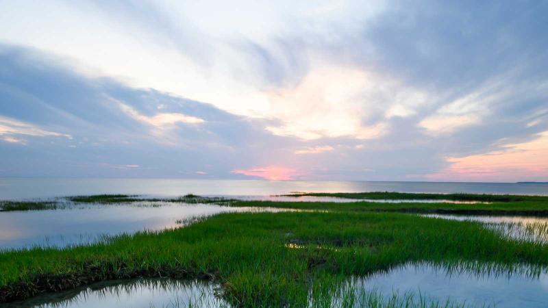 Marshes in Woods Hole, Massachusetts