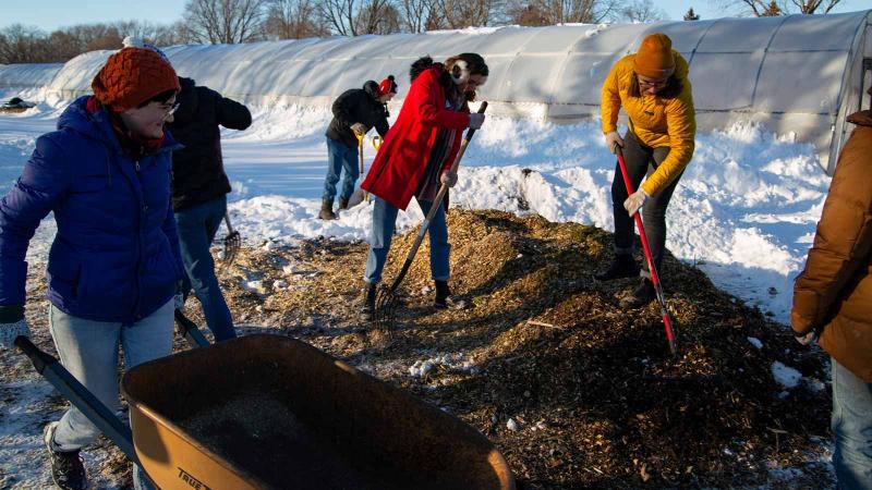 Image of people digging holes