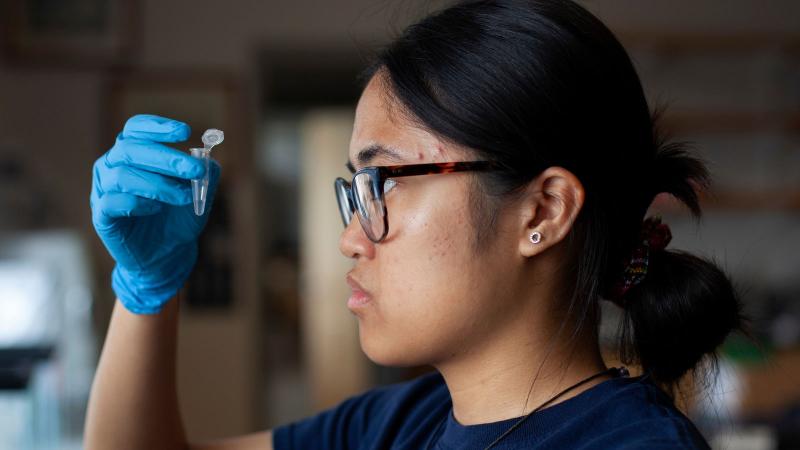 Student observing a test tube