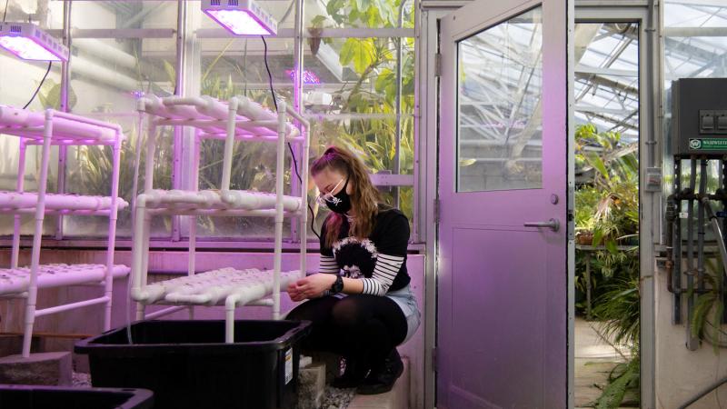 Student in a greenhouse