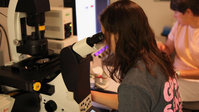 Student looking into a microscope