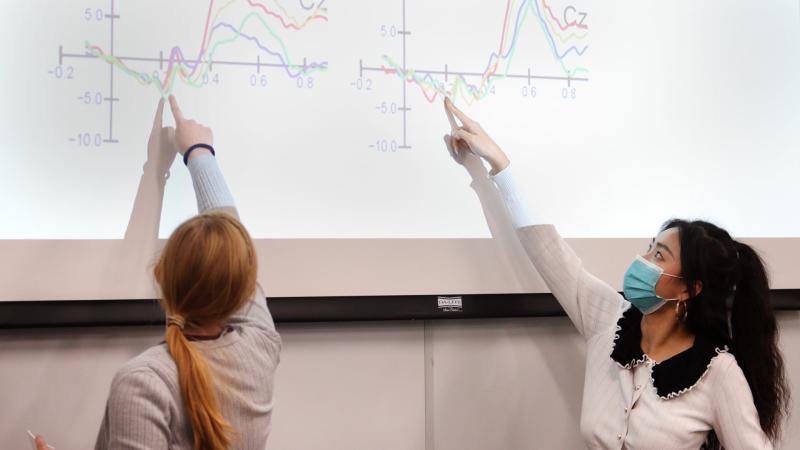 Students give presentation during cognitive neuroscience class