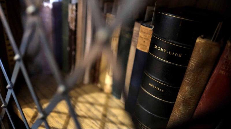 Books on a shelf.