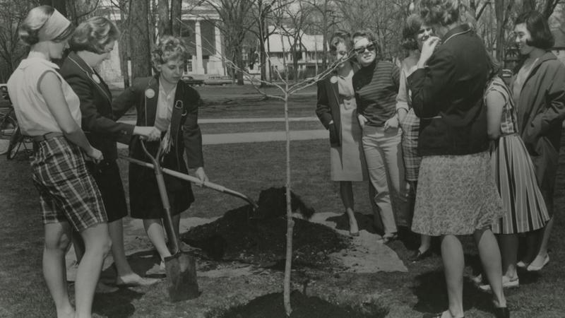 Students stand around a freshly planted hawthorn tree with shovels and a small pile of dirt in the background