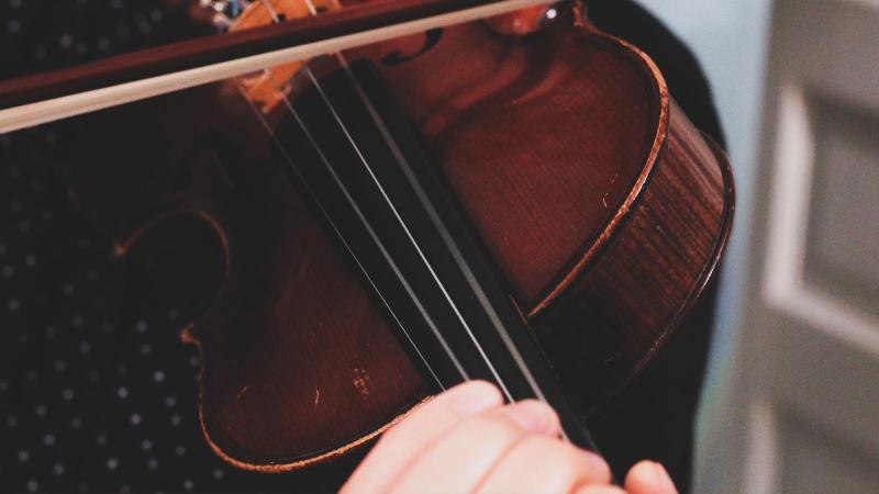 Close up of a viola