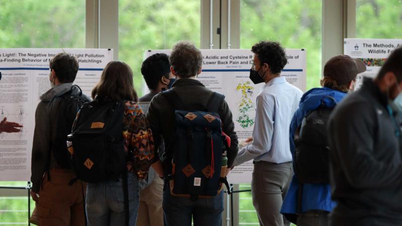 Visitors to Biofest gather around students presenting their work on standing white boards.