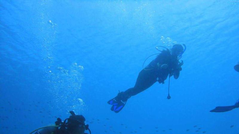Lawrence students scuba dive in the waters of Bonaire as part of their research into marine life.