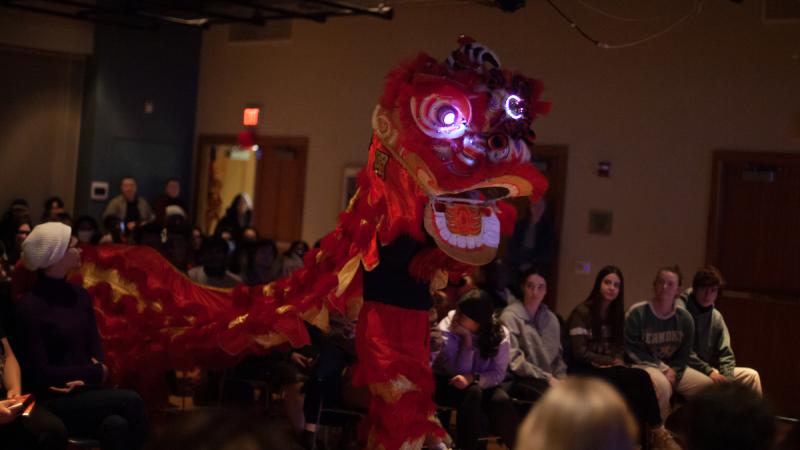 The Seven Star Lion Dance performs amid the audience during the Lunar New Year celebration.