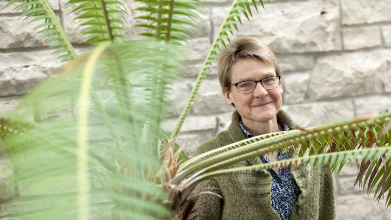 Marcia Bjornerud poses for a photo under a cycad plant in the Science Atrium. (Photos by Danny Damiani)