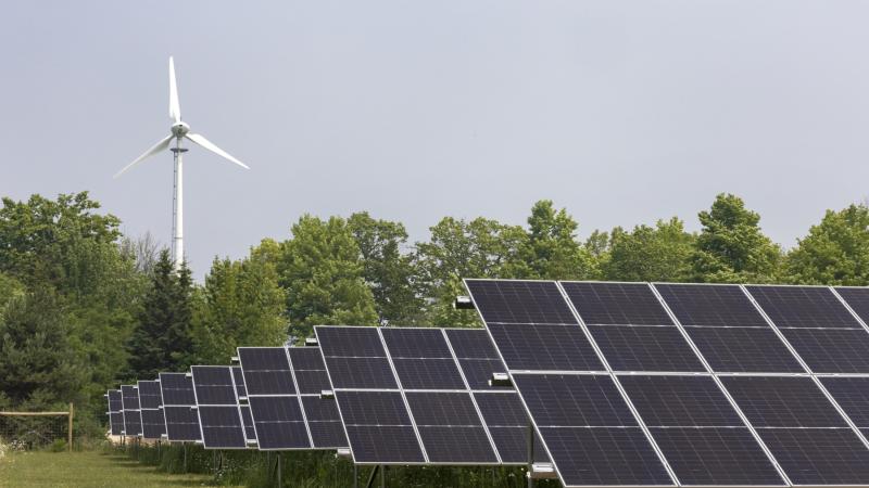 The solar array at Bjorklunden went live in the spring. (Photo by Danny Damiani)