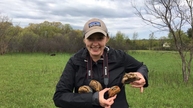 Caitlin Williamson holds four turtles while doing field work.