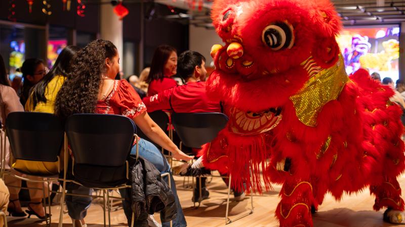 Lion dancer interacting with crowd.