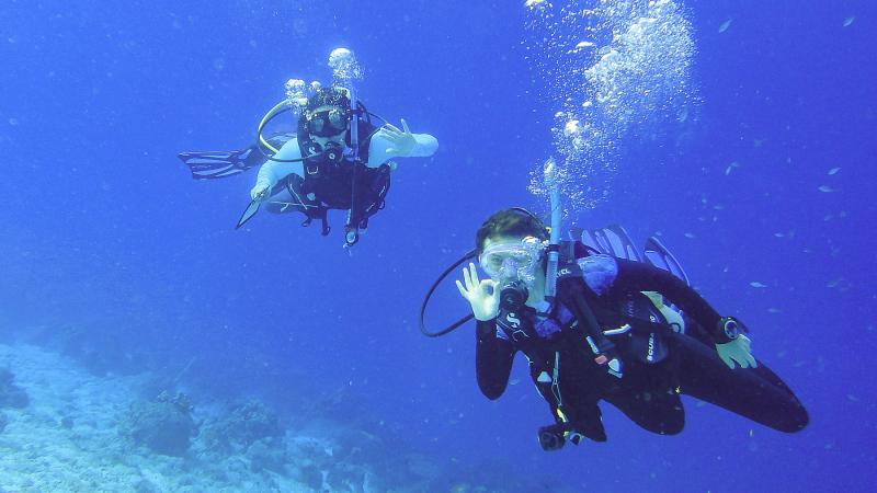 Students Anna Cardon and Felix Spaniol do a dive while gathering data in the waters off of Bonaire.