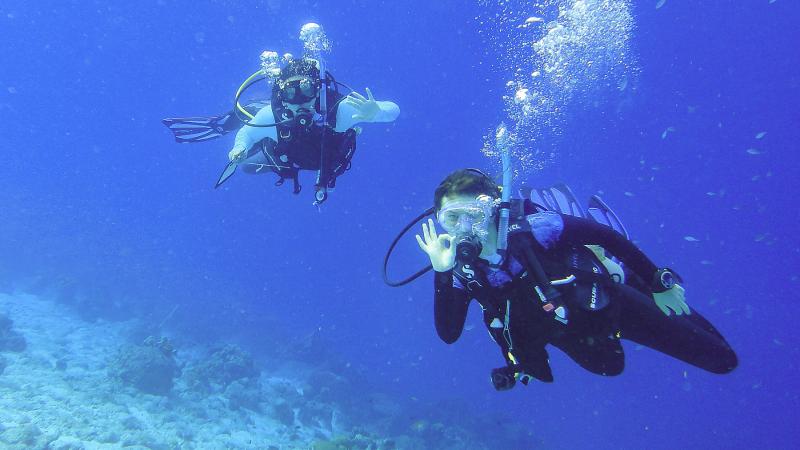 Students dive on a research trip to Bonaire.