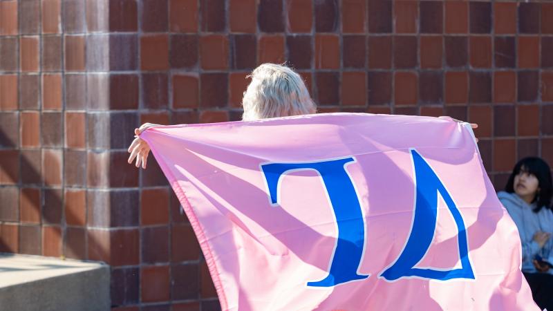 Greek orgs shows their colors with flags.