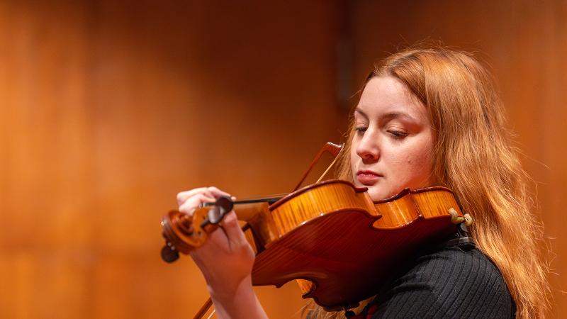 A musician playing viola.