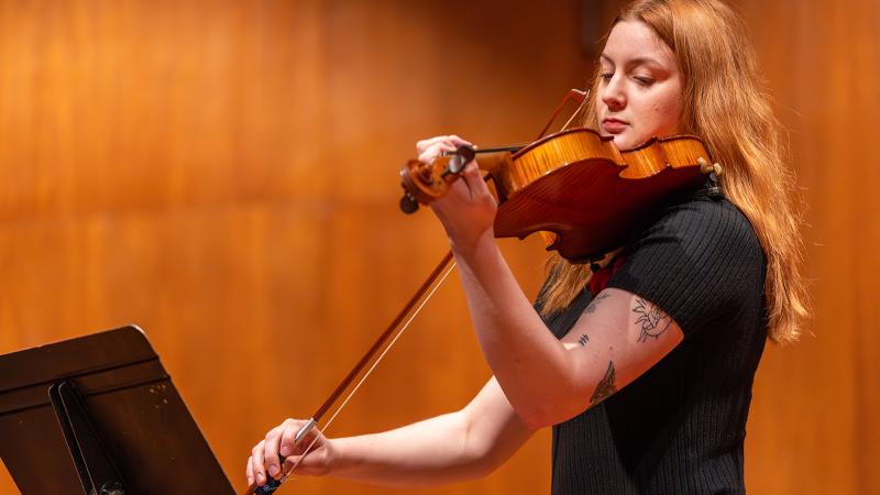 A musician playing viola.