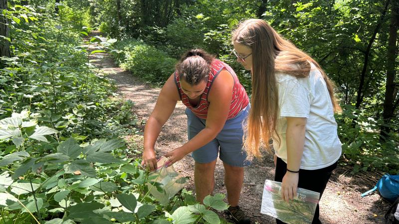 Laura Friestad shows Rylee Polanka how to collect jewelweed seeds.