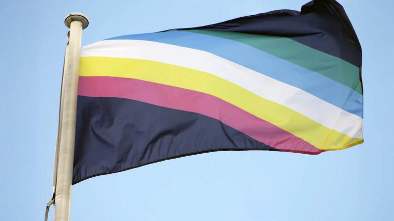 Flag depicting accessibility stripes