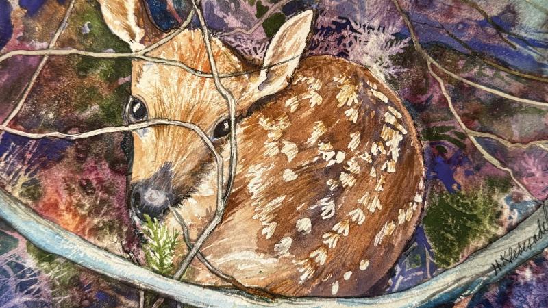 watercolor painting of fawn