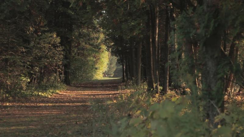 Preview image for the video "This Is Lawrence - Björklunden".