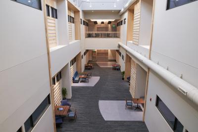 Study Areas