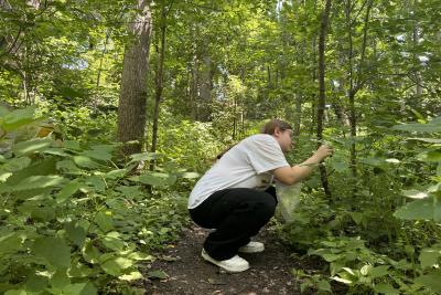 Rylee Polanka searches for jewelweed in the woods behind Trever Hall.