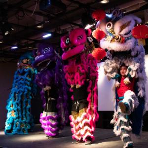 Performance for the Lunar New Year