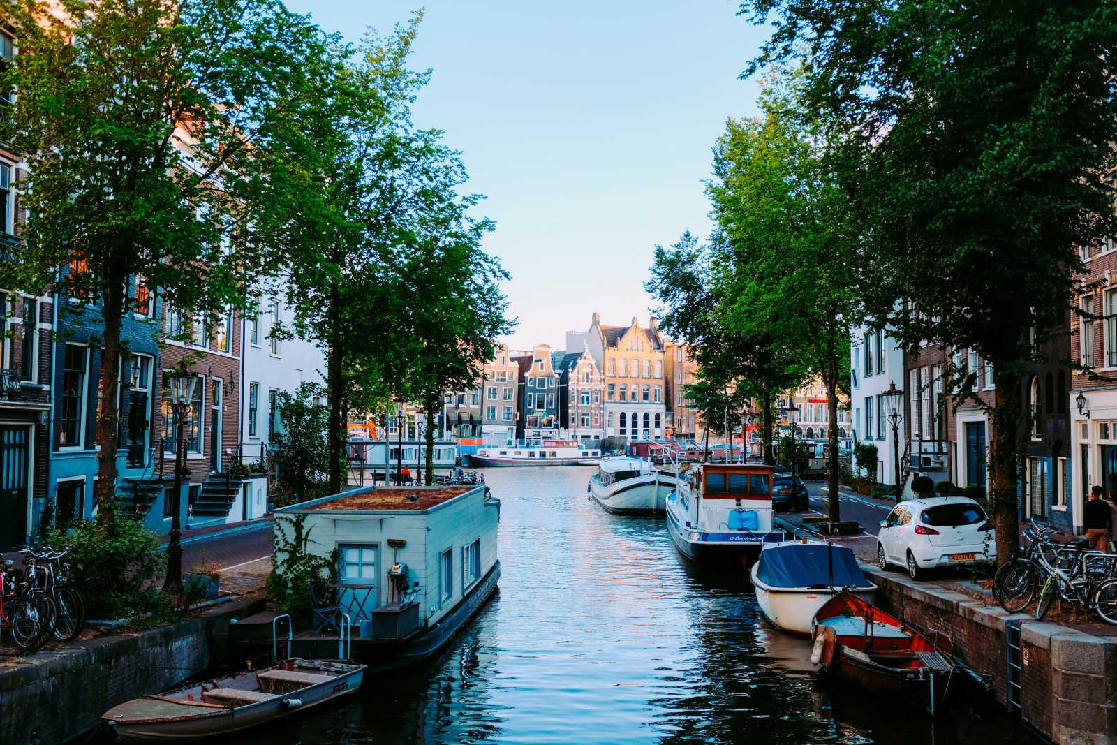 Psychology and Science – Amsterdam