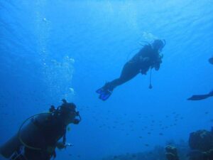 Diving into science: Marine research takes students to Bonaire in Caribbean