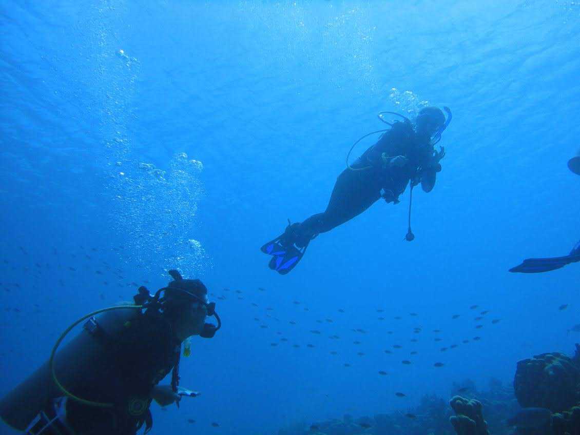Diving into science: Marine research takes students to Bonaire in Caribbean