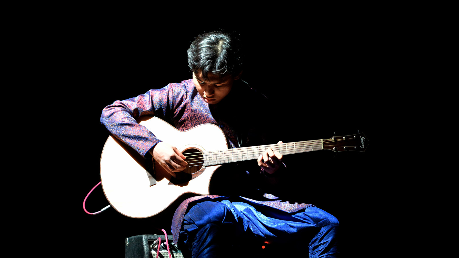 Guitar
