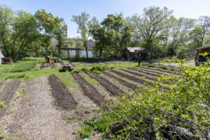 Lawrence University lands on Princeton Review’s annual Guide to Green Colleges