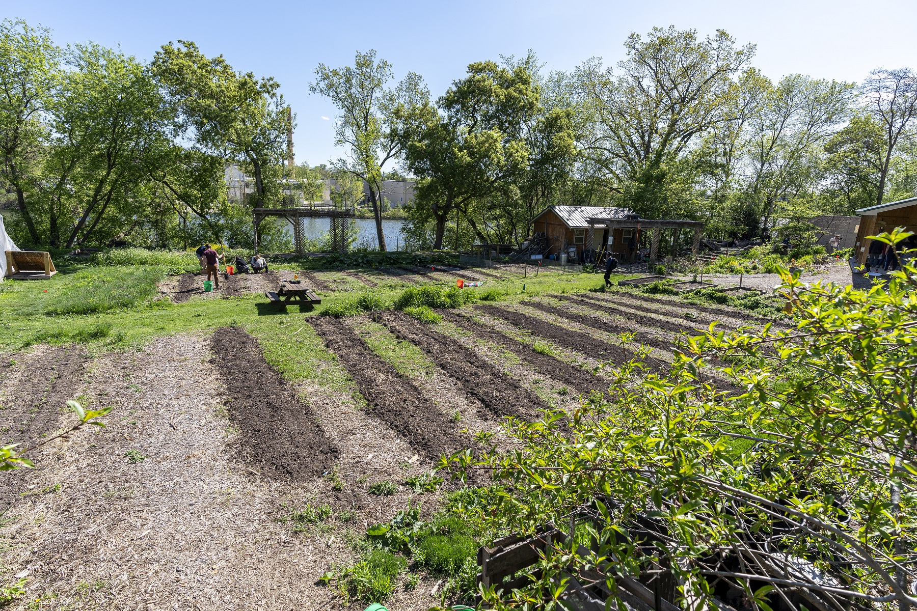 Lawrence University lands on Princeton Review’s annual Guide to Green Colleges