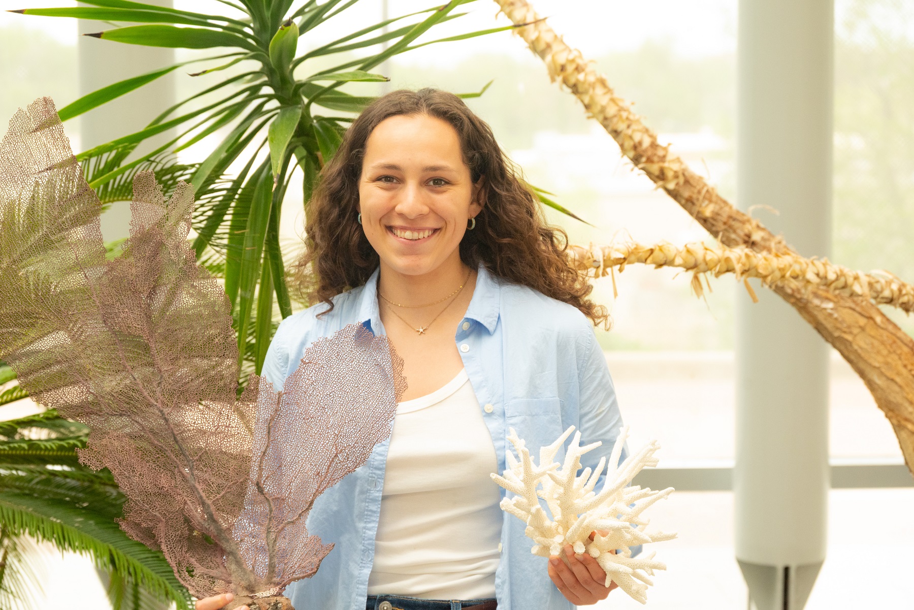 A summer with dolphins awaits junior Emma Moya as she dives into Sarasota internship
