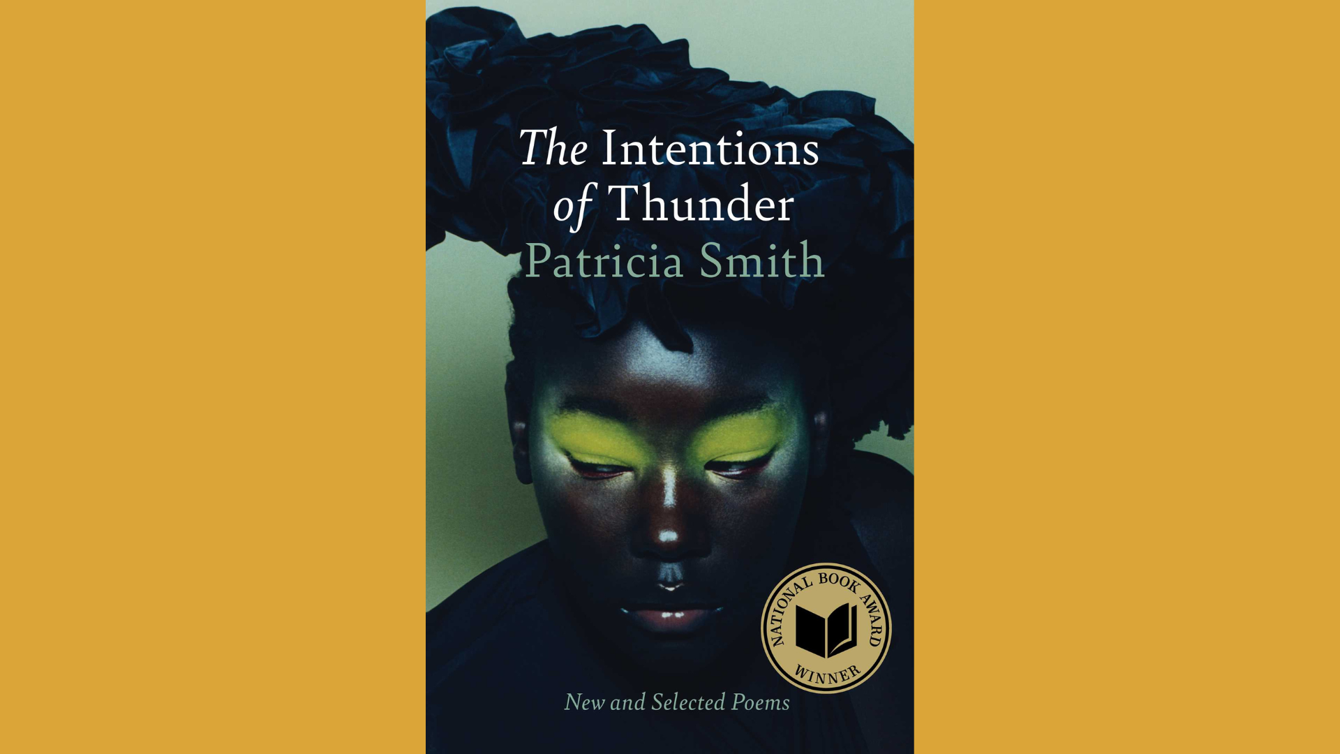 book cover of Intentions of Thunder
