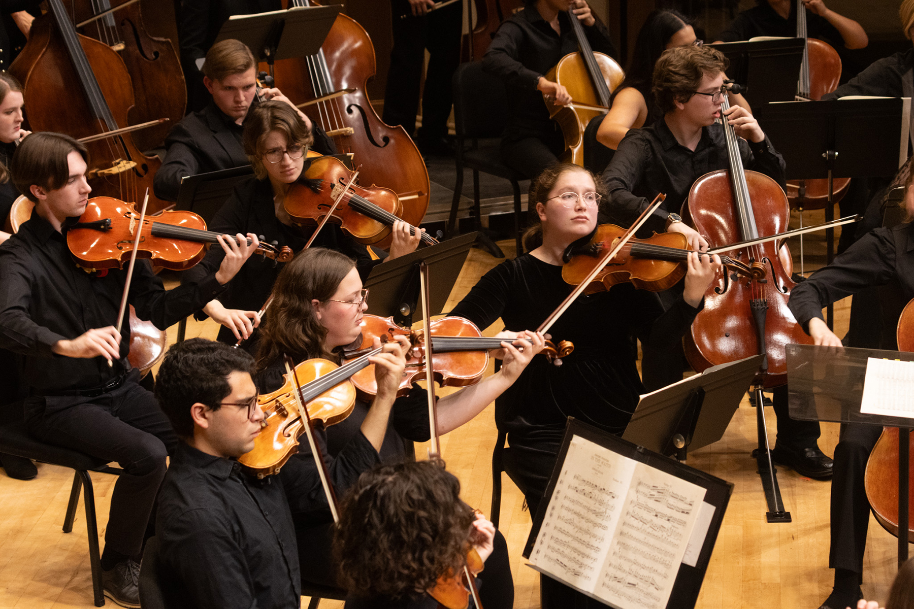 Orchestra members in black attire play string instruments on stage, reading sheet music during a live performance.